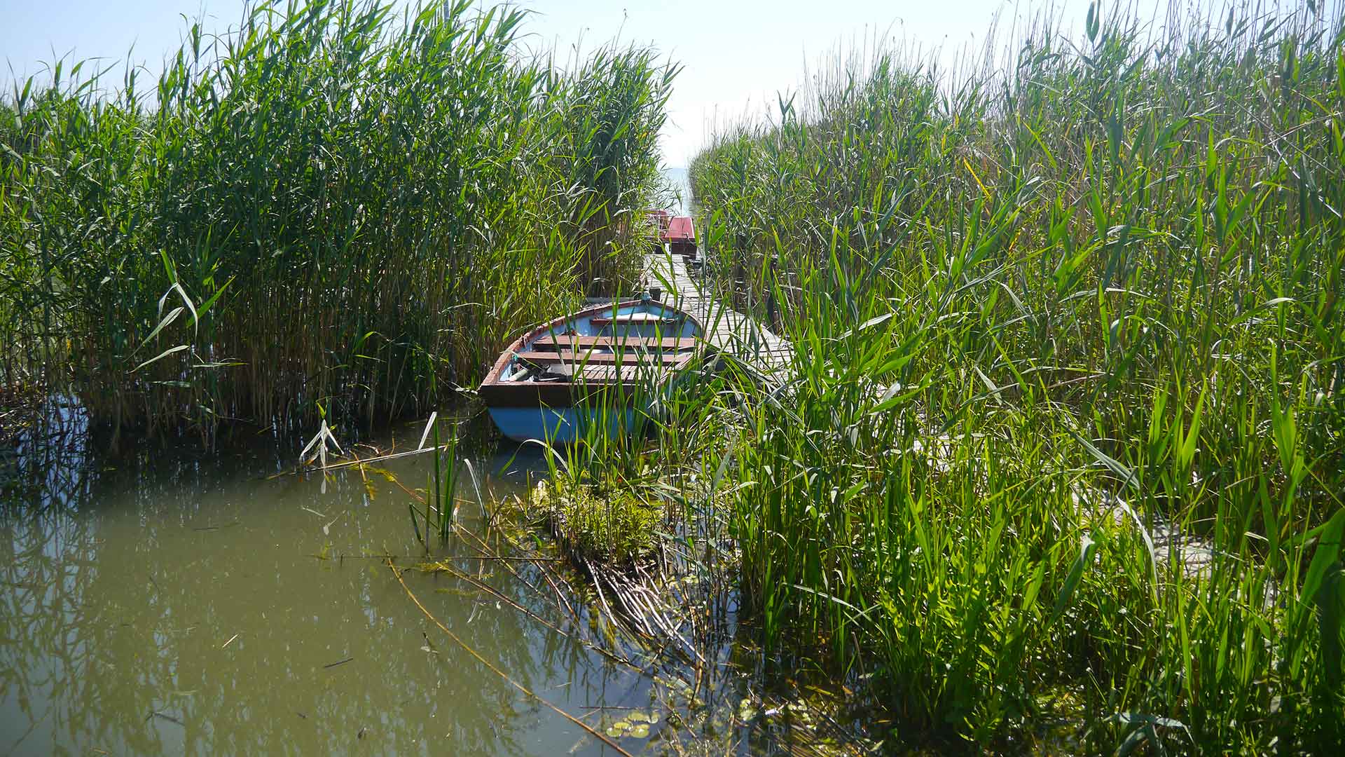 Badacsonyban, vízparti nyaraló saját stéggel eladó
