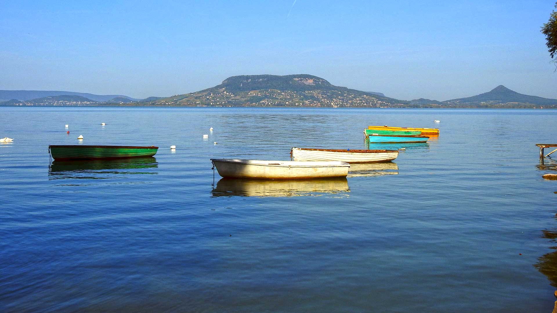 A Balaton déli partján, közvetlen vízparti családi birtok eladó