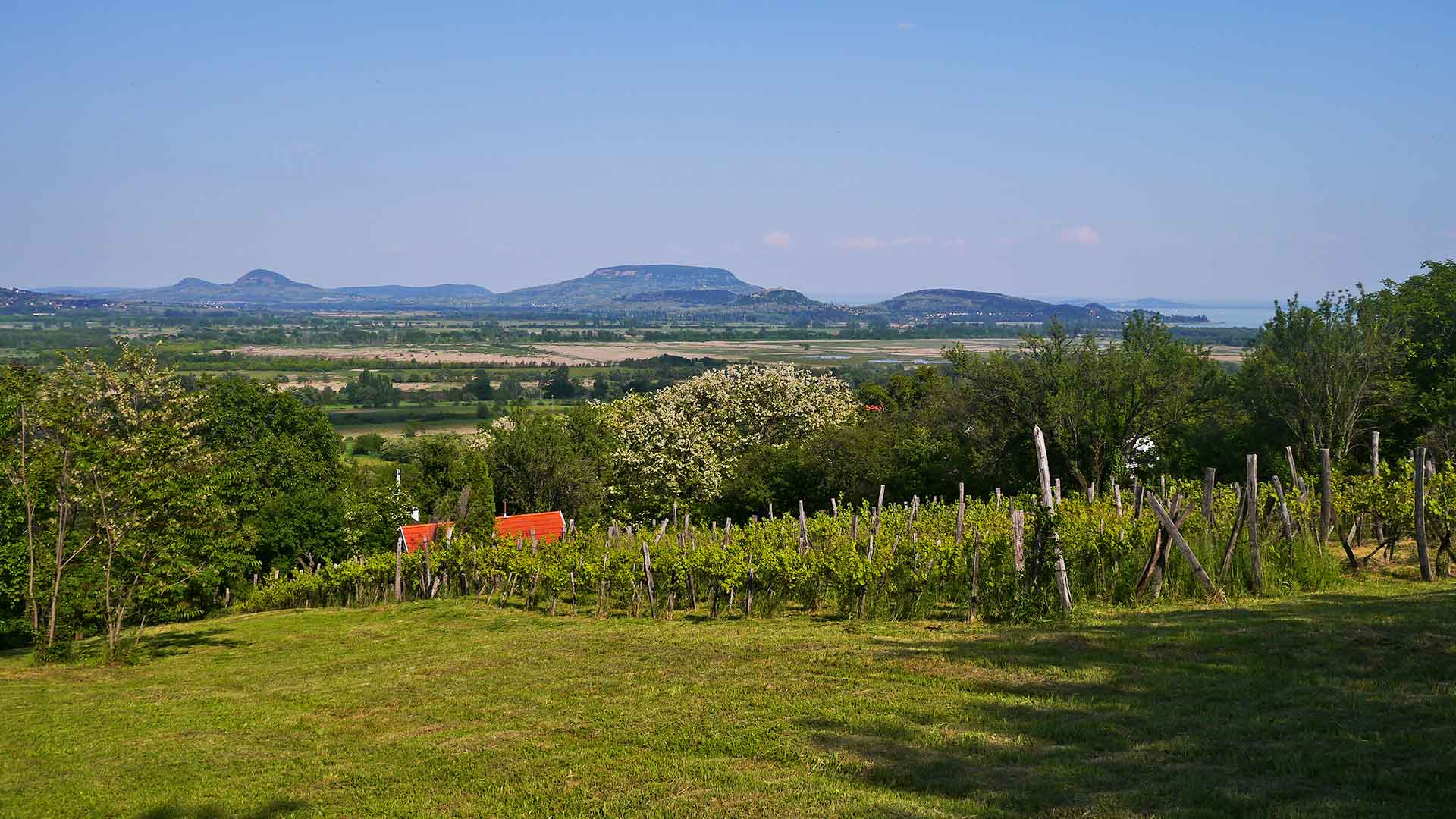 Balatoni örök-panoráma Balatonedericsen