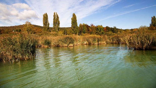 Kilátás a stégről. Itt lehet etetni, horgászni. A vízmélység 1,80 méter Kilátás a stégről. Itt lehet etetni, horgászni. A vízmélység 1,80 méter