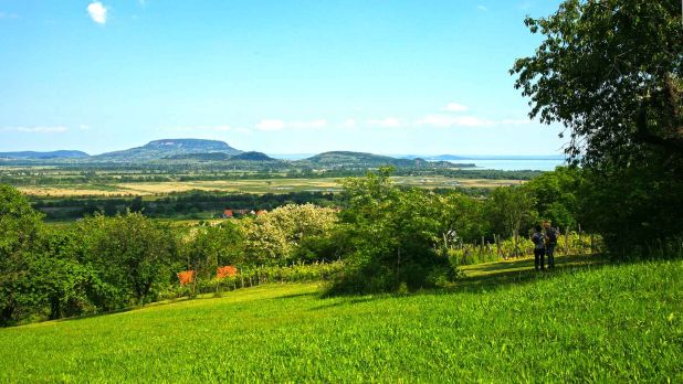 Csendes, gyönyörű helyen pihenhet, regenerálódhat Csendes, gyönyörű helyen pihenhet, regenerálódhat